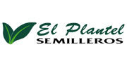Semilleros El Plantel