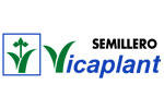 Semillero Vicaplant